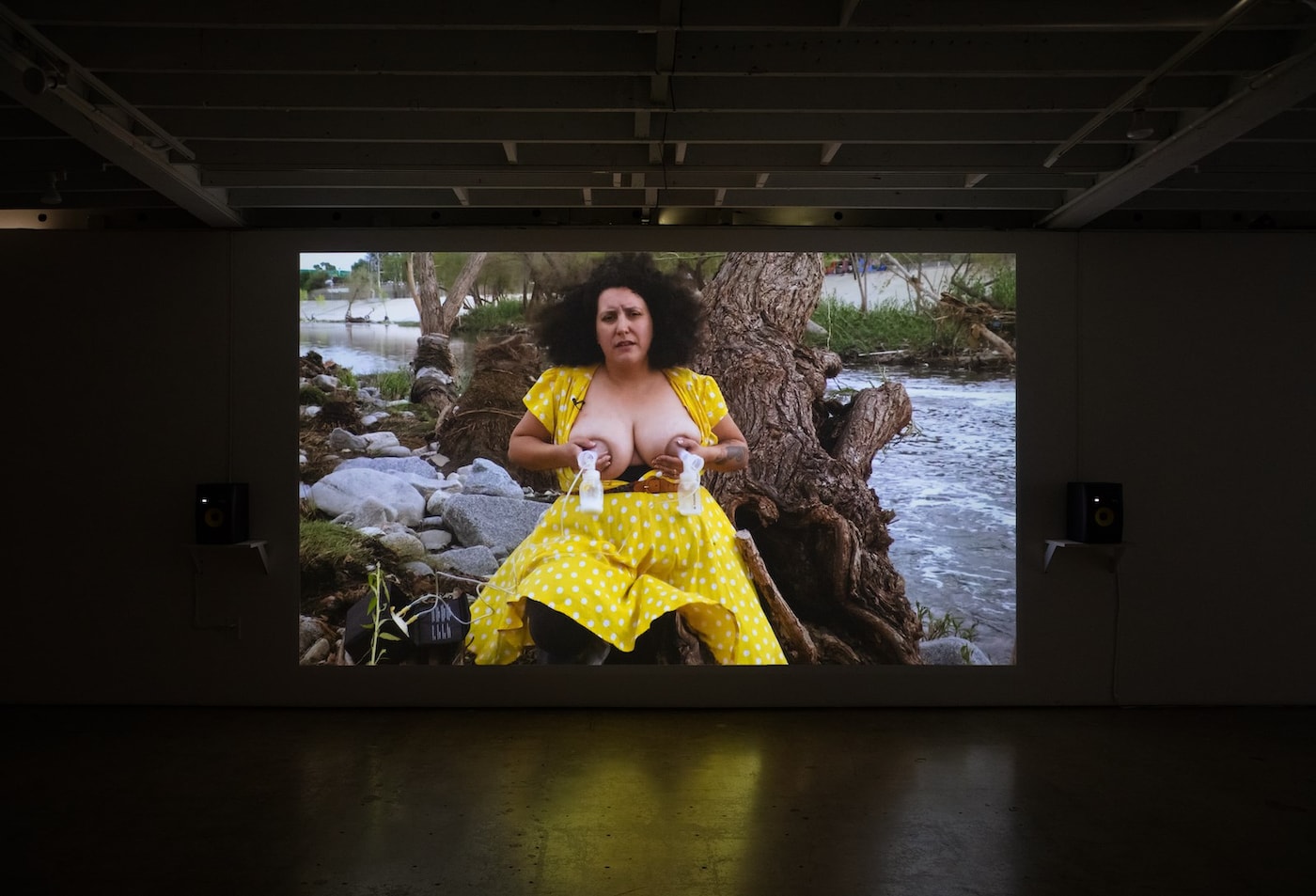 Patty Chang – Milk Debt 