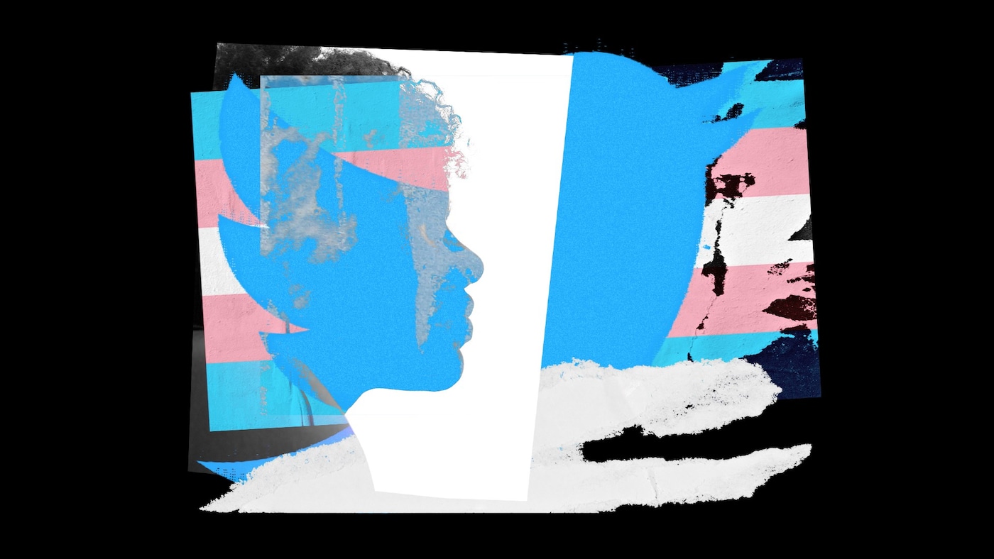 University of Sussex harassment 2