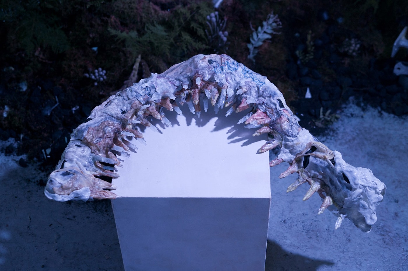 Inorganic Synergy 10