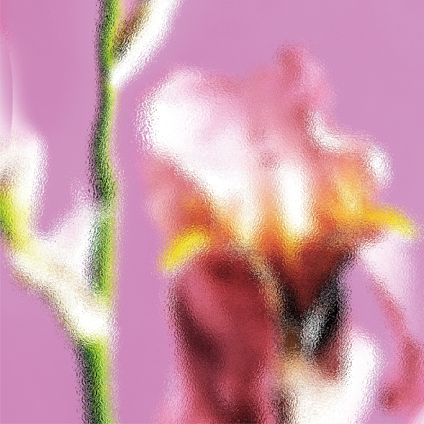 Here x Haeckels x Tetsuo Lin