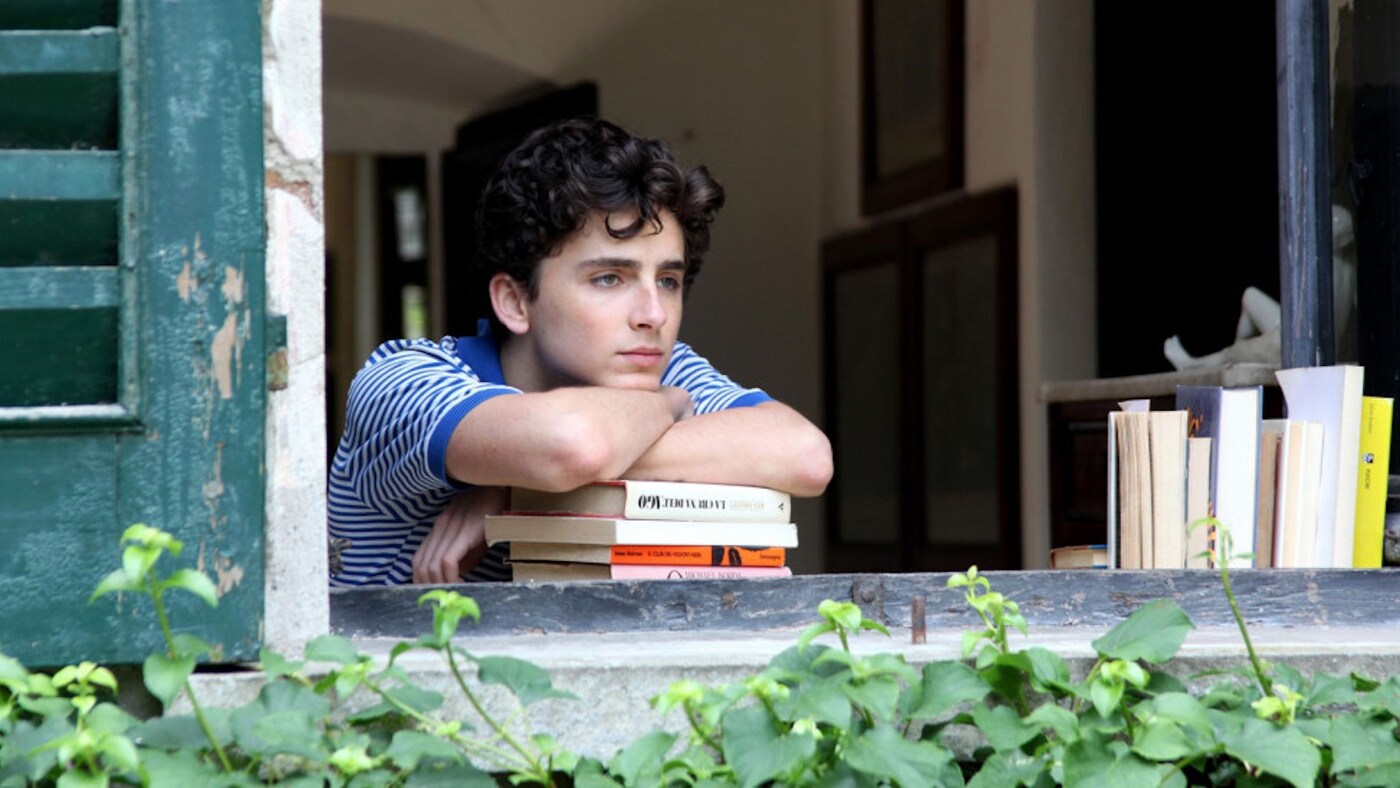 Timothée Chalamet in Call Me By Your Name (2017)