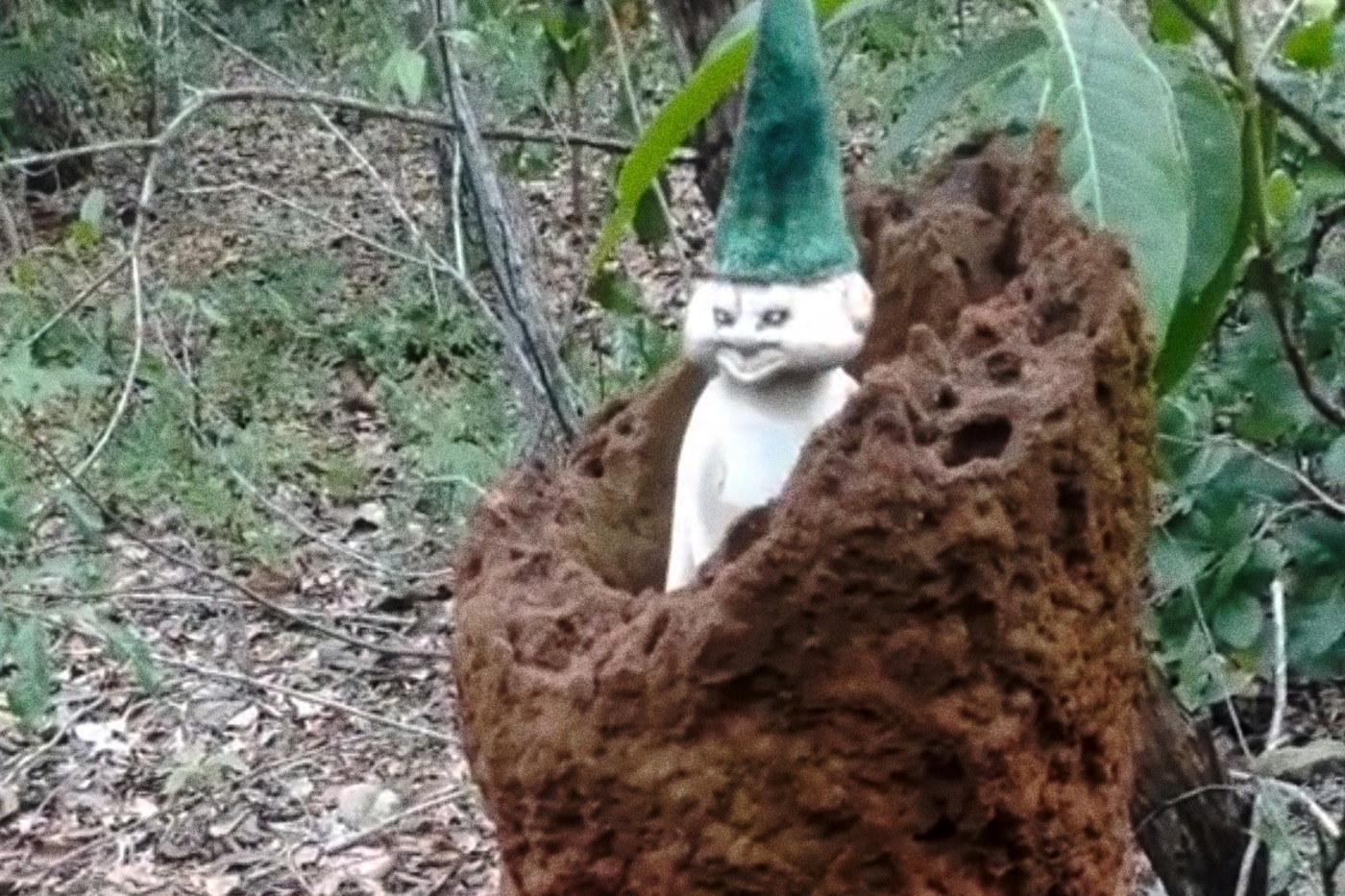 TikTok's whimsical little guy meme