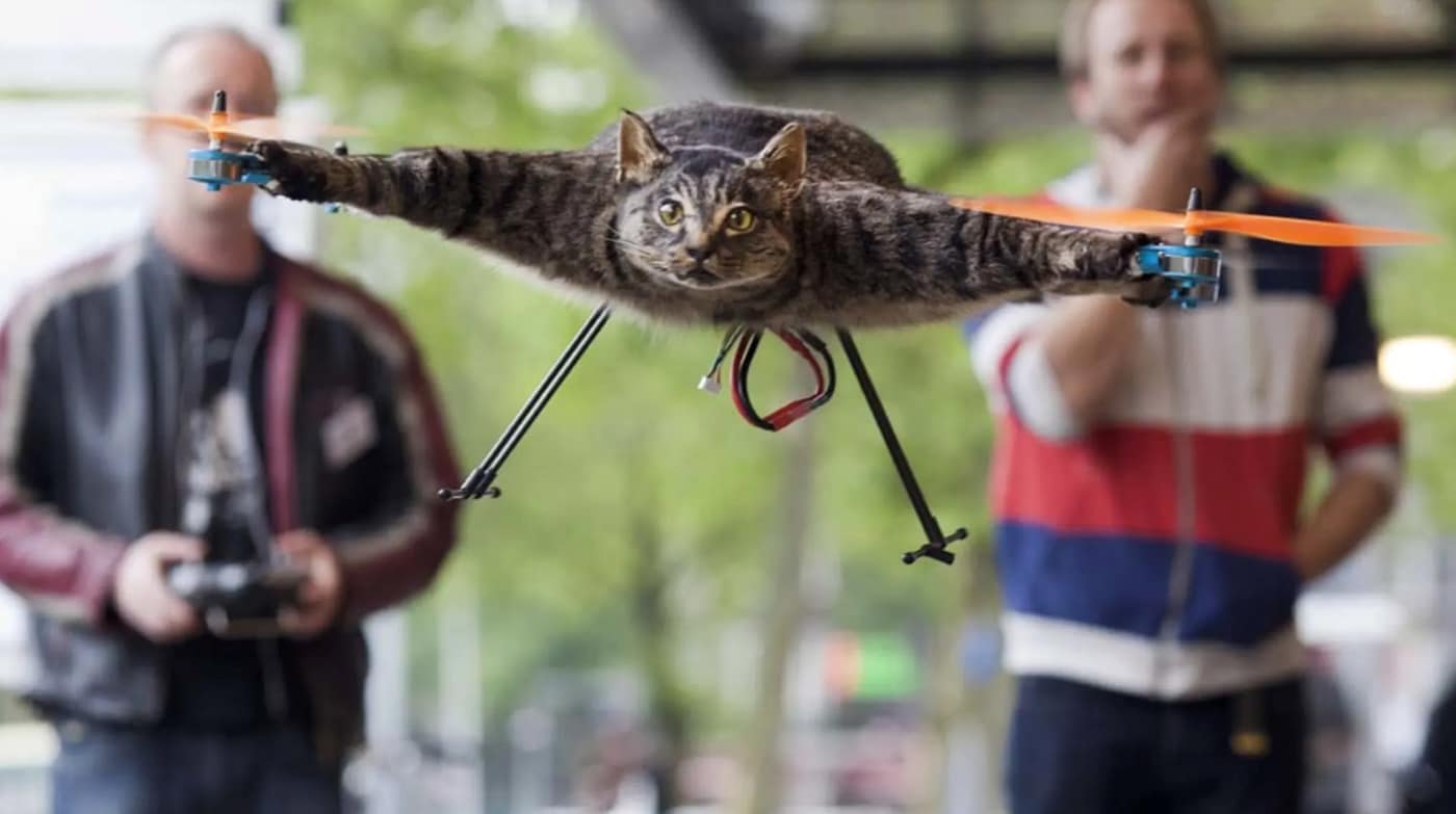 The Orvillecopter, cat drone