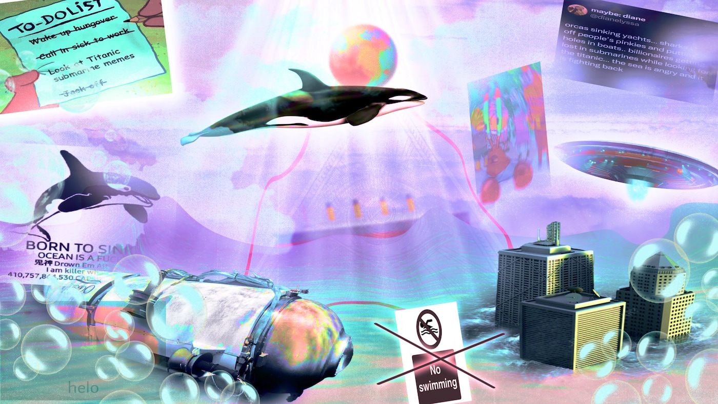 Orcas and submarine billionaires