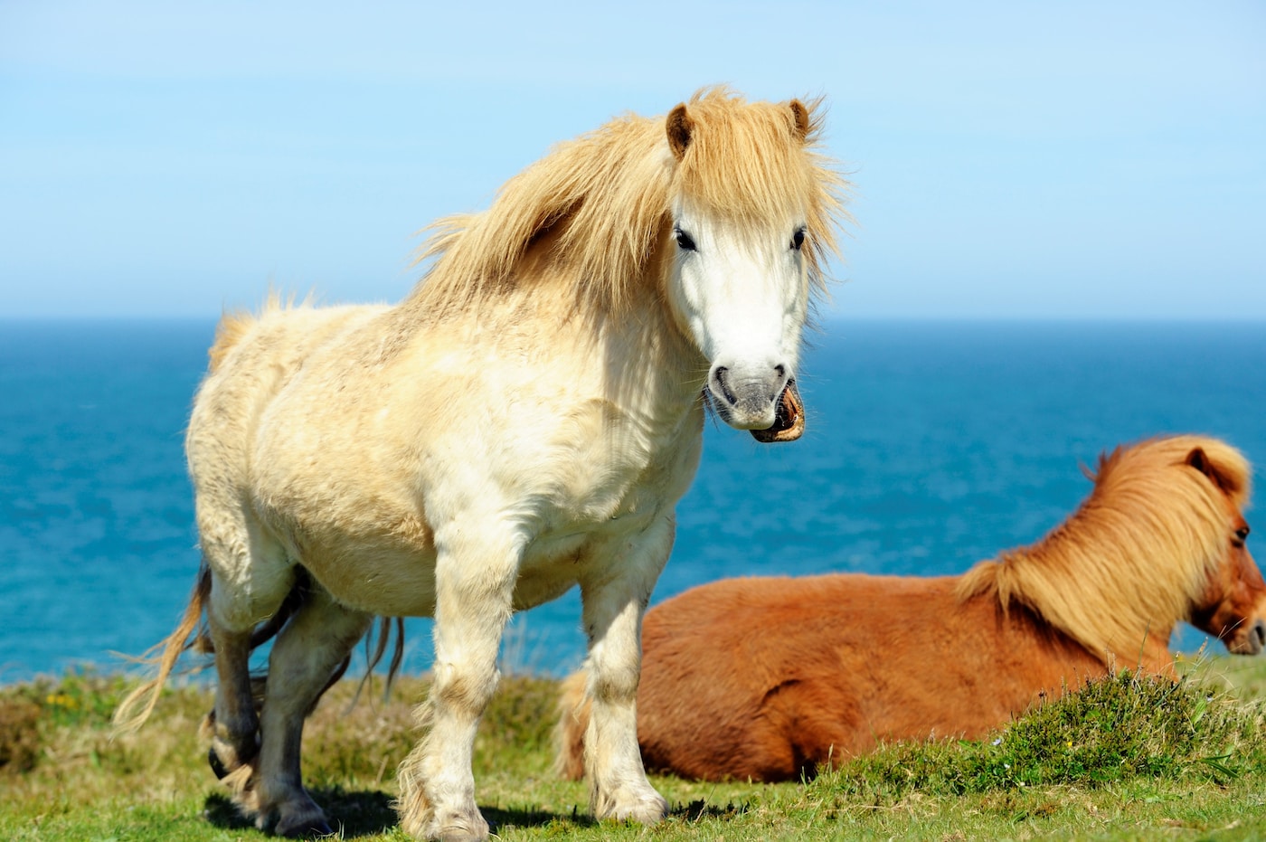 GettyImages-171335800