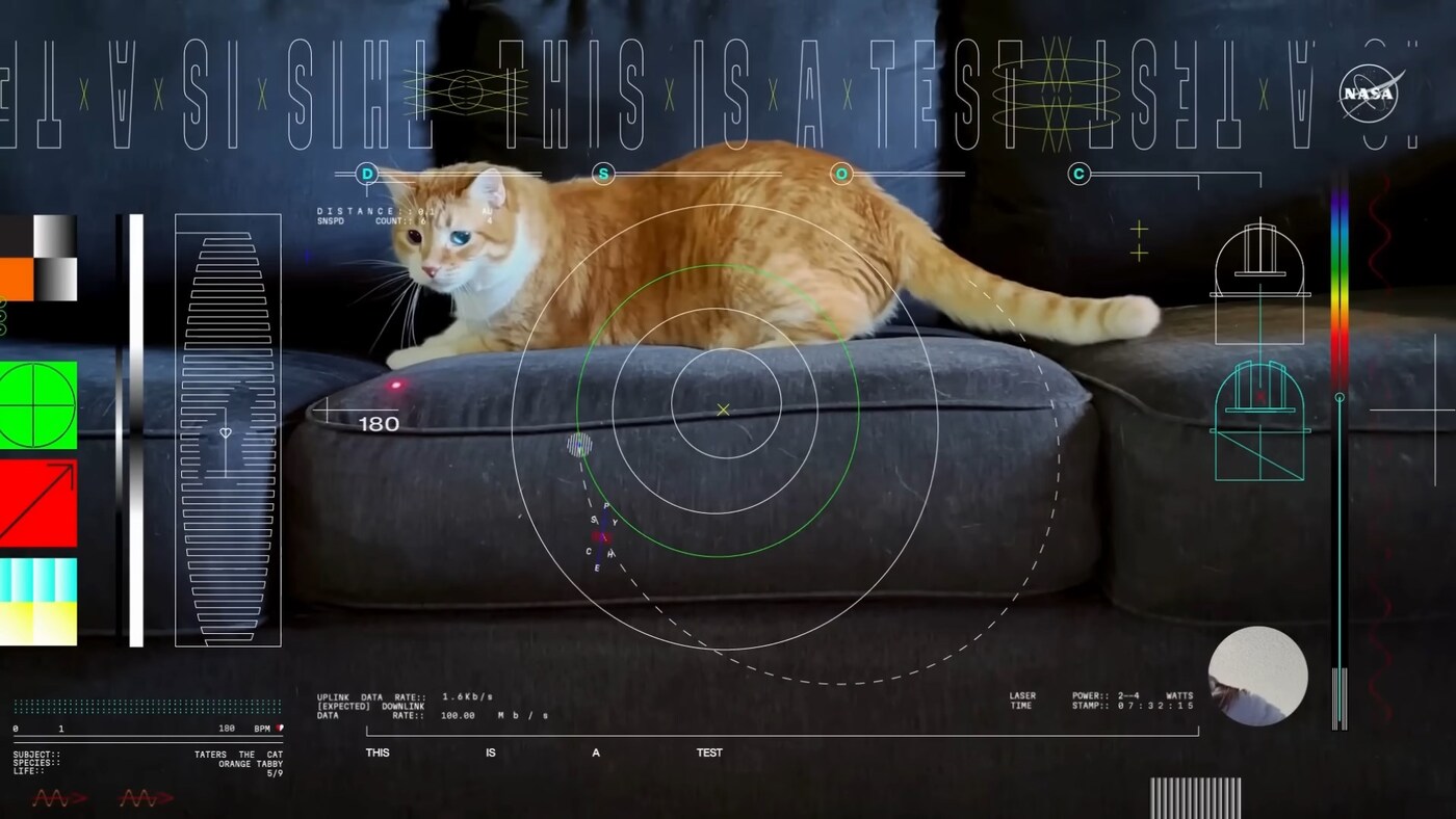 Taters the cat stars in NASA’s laser communication test