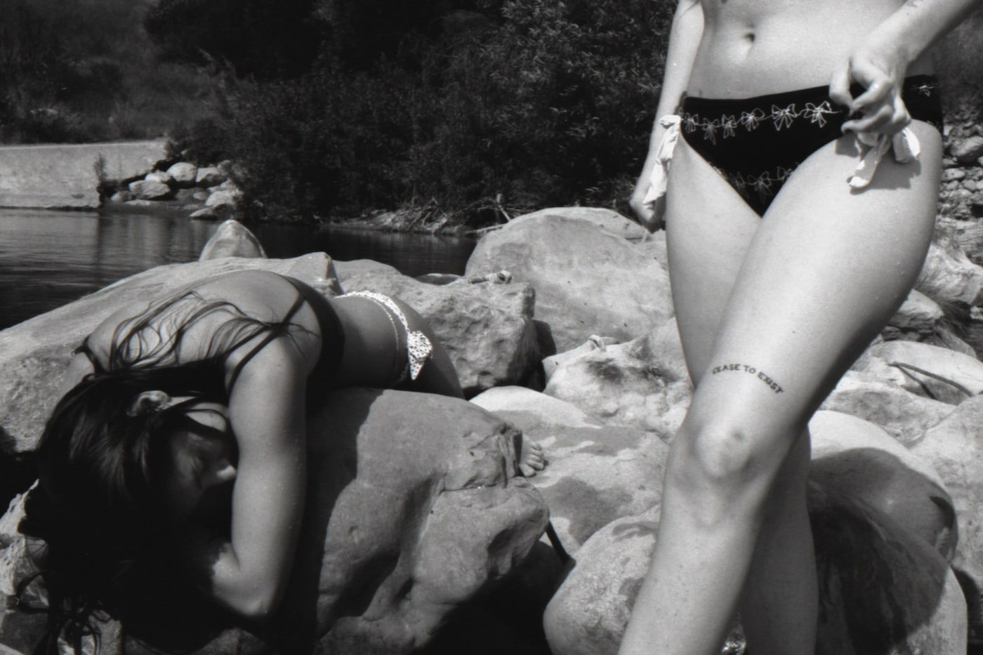 Sophia Cutino, Diaries of a Wet Bird