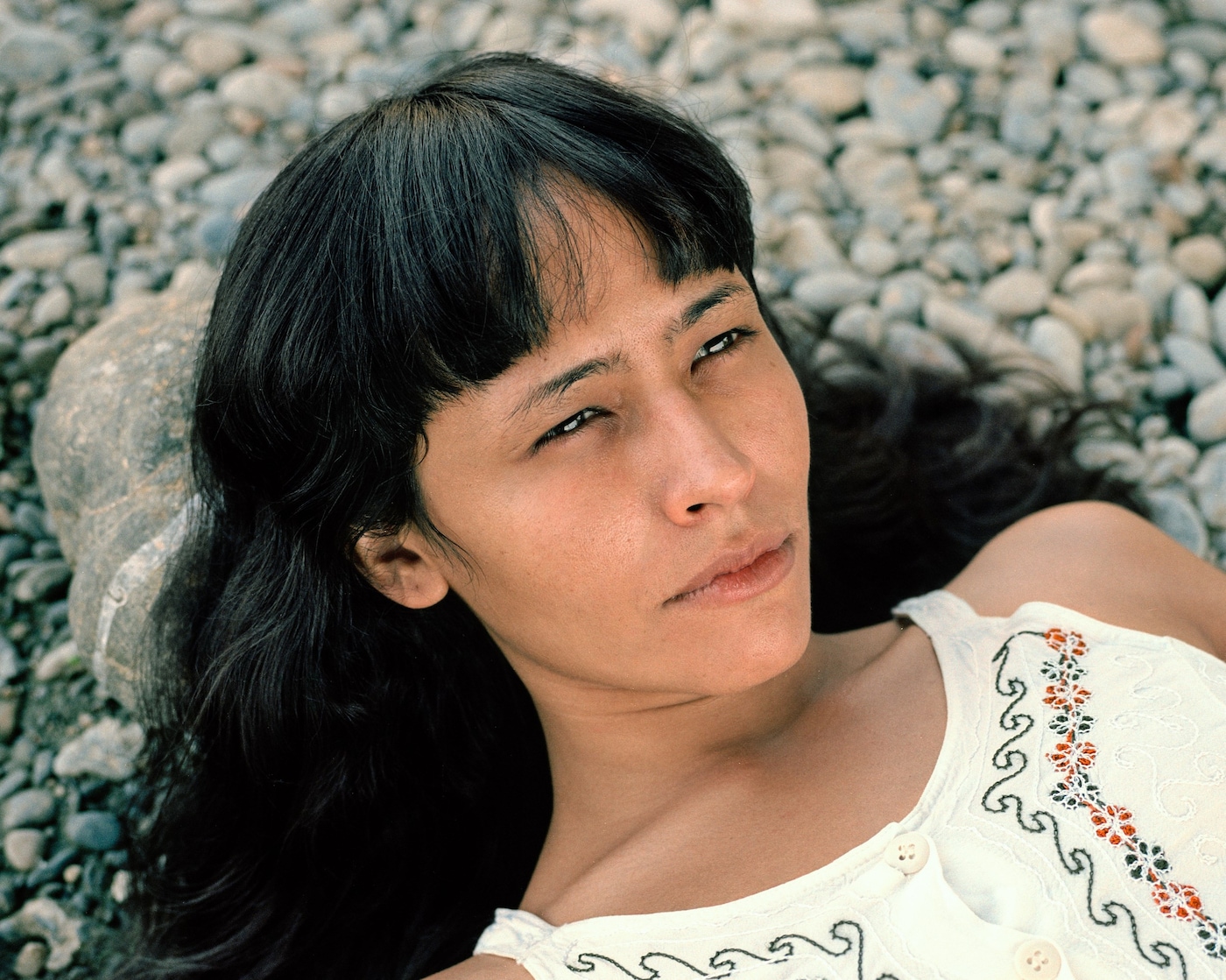 Felipe Romero Beltrán, Bravo (2025)