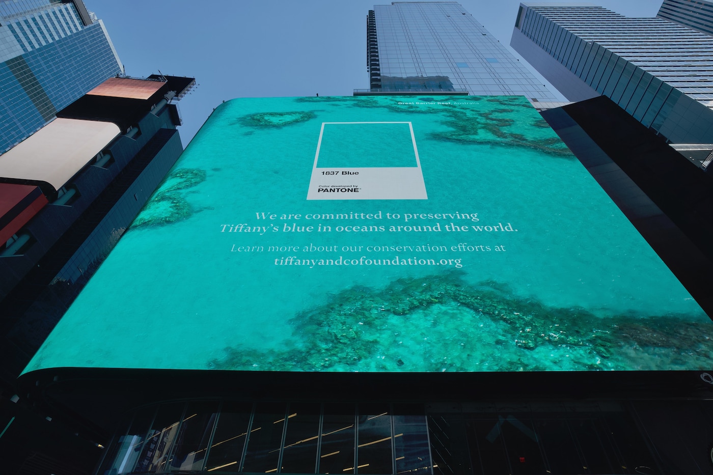 1837 Tiffany Blue Conservation Campaign 