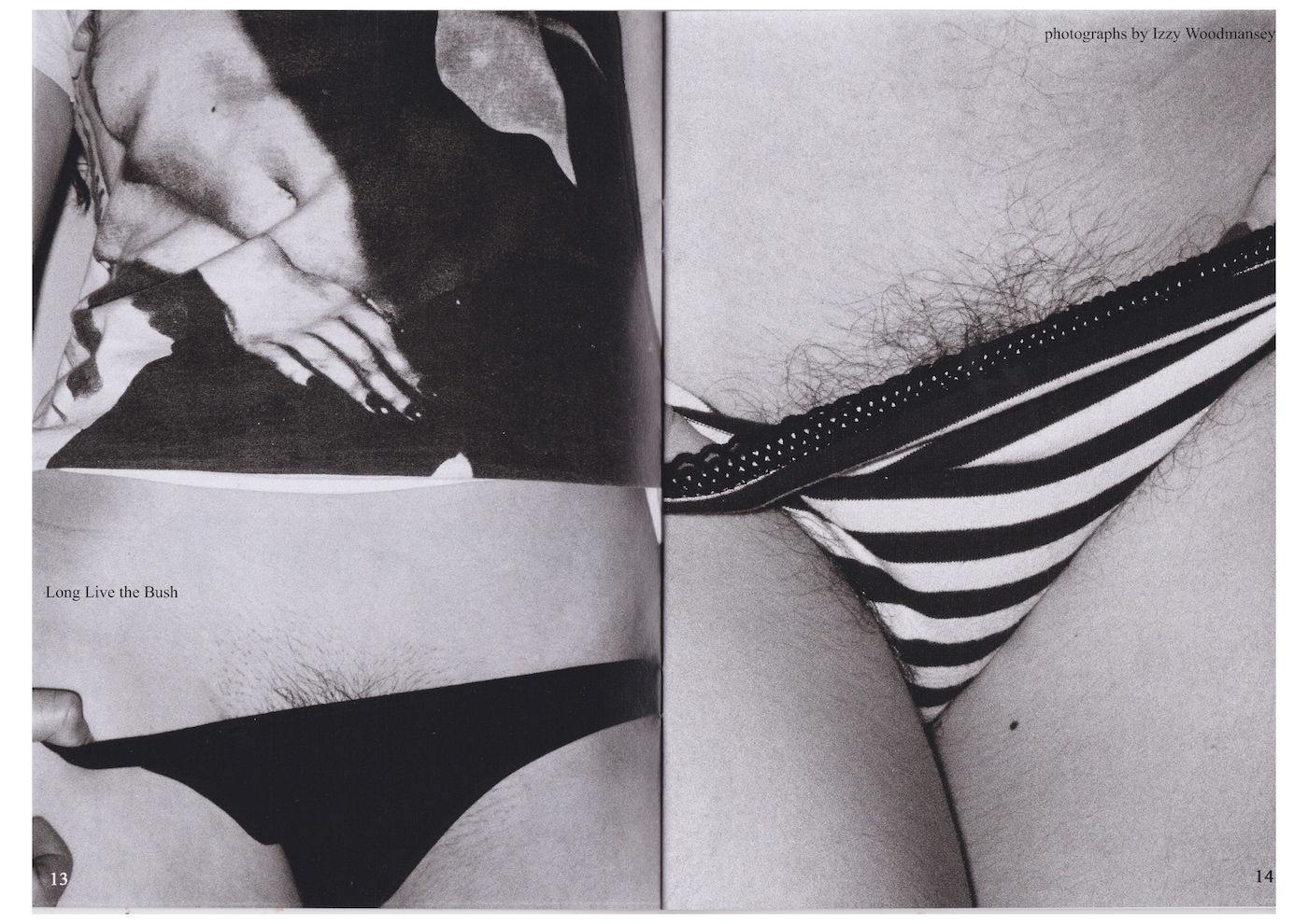 Dyke 4 Dyke, zine, lesbian culture, photography