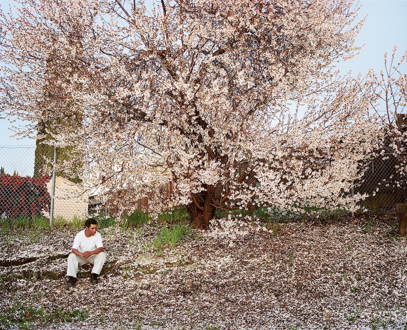 Larry Sultan, Water Over Thunder: Selected Writings 