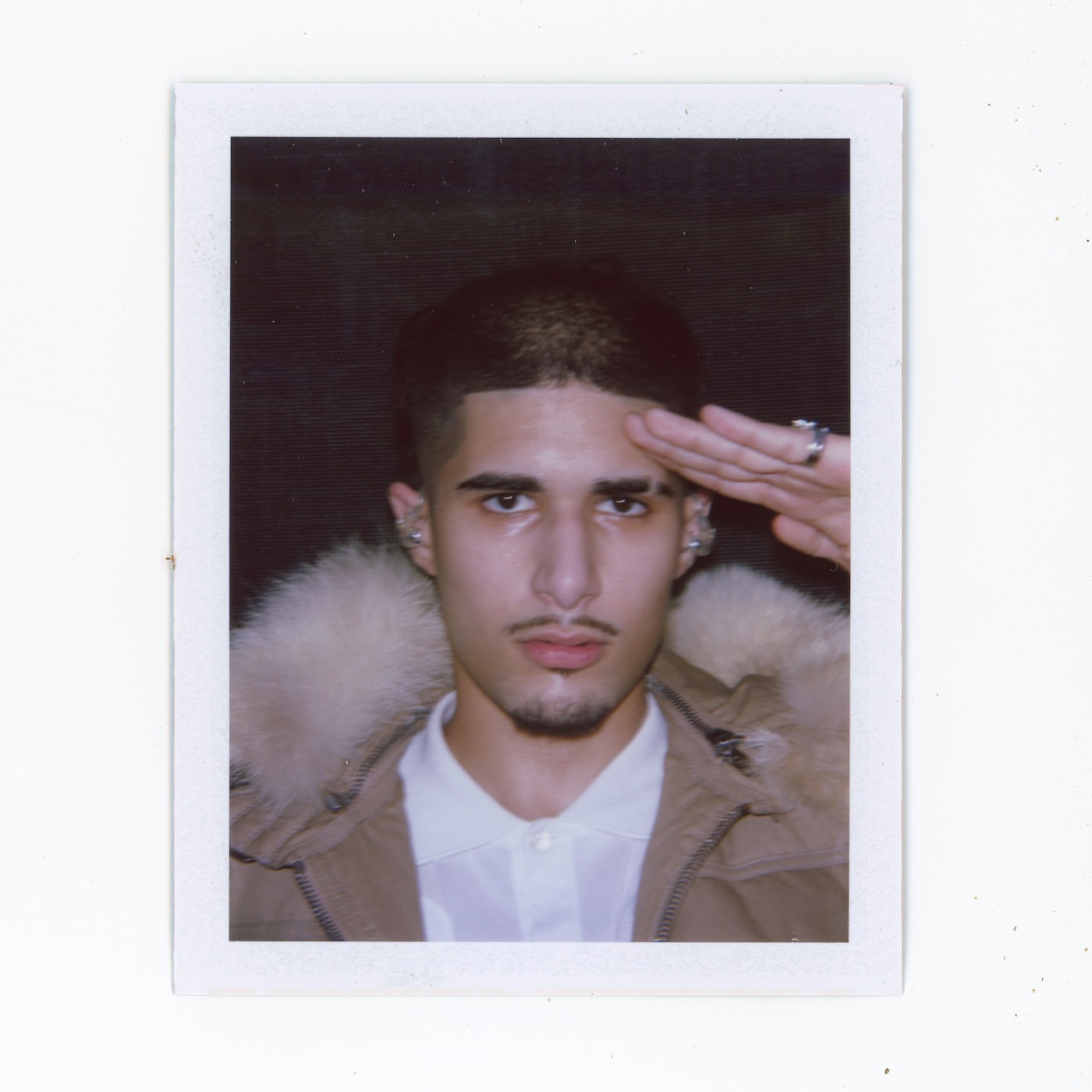 Fake Mink