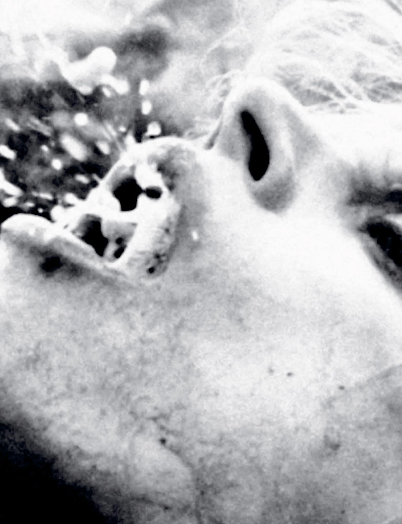 Arthur Jafa – The Winter 2025 Issue