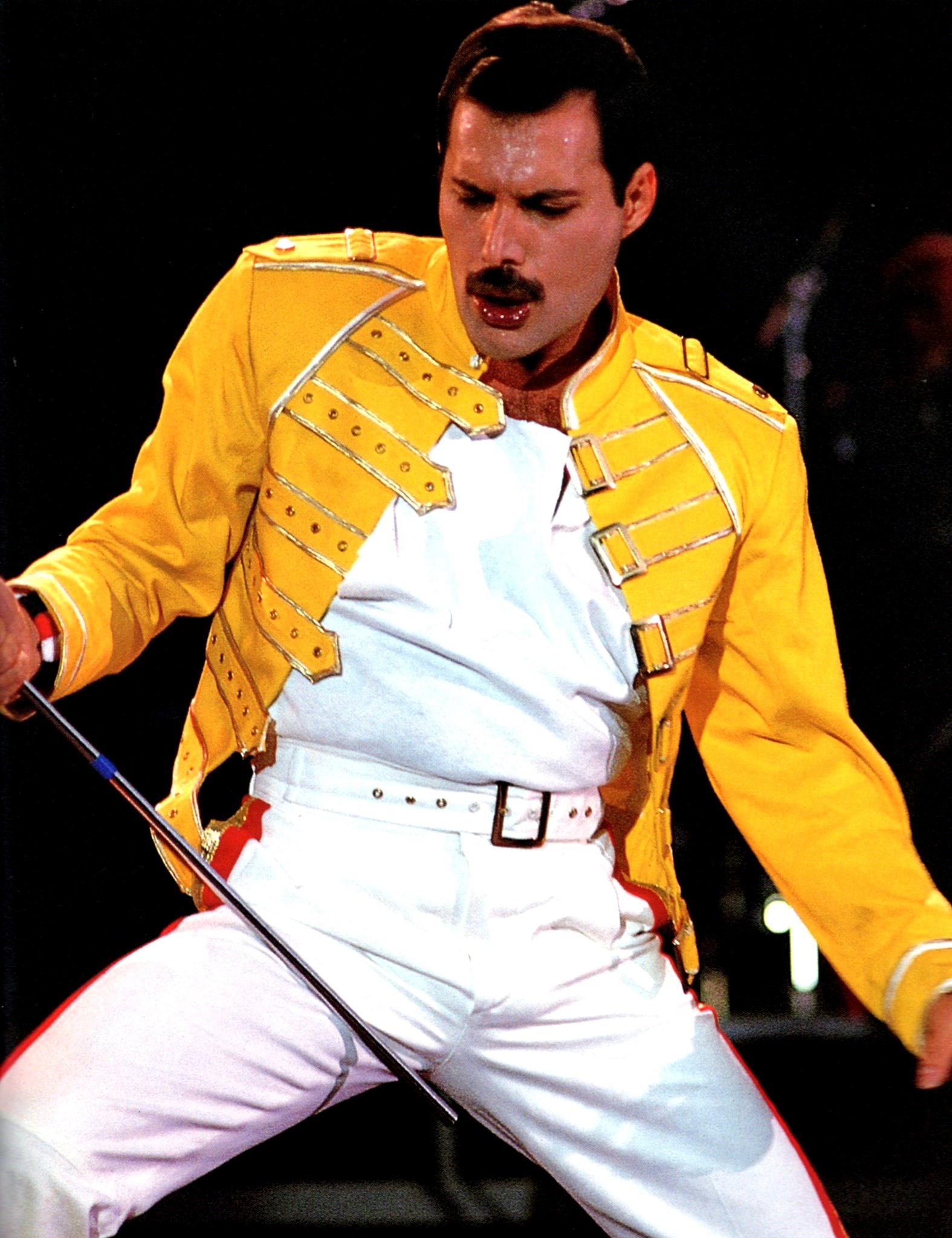 Freddie mercury hotsell 70s fancy dress