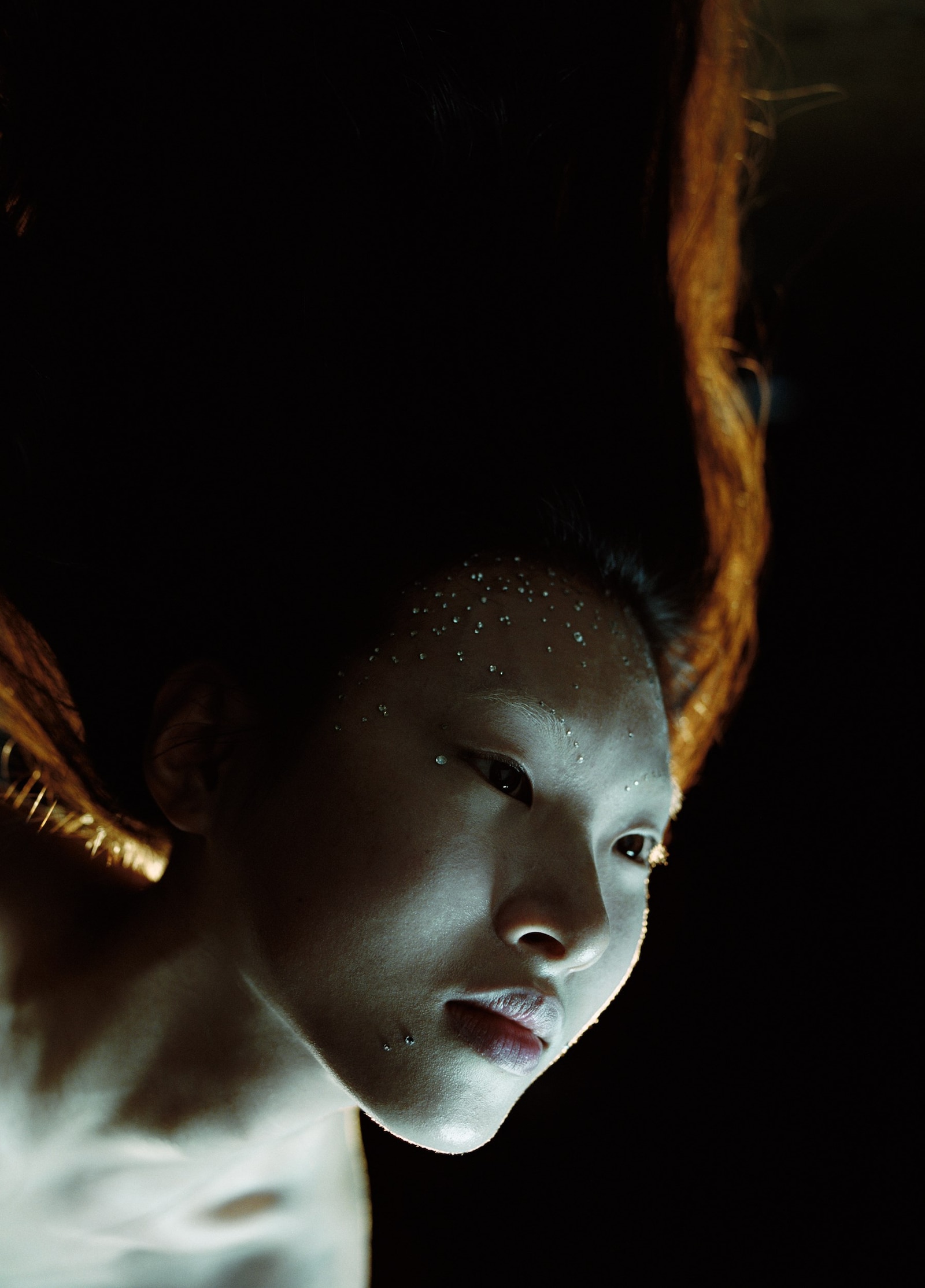 DB000_ F5_ilieva10_CMYK_Web