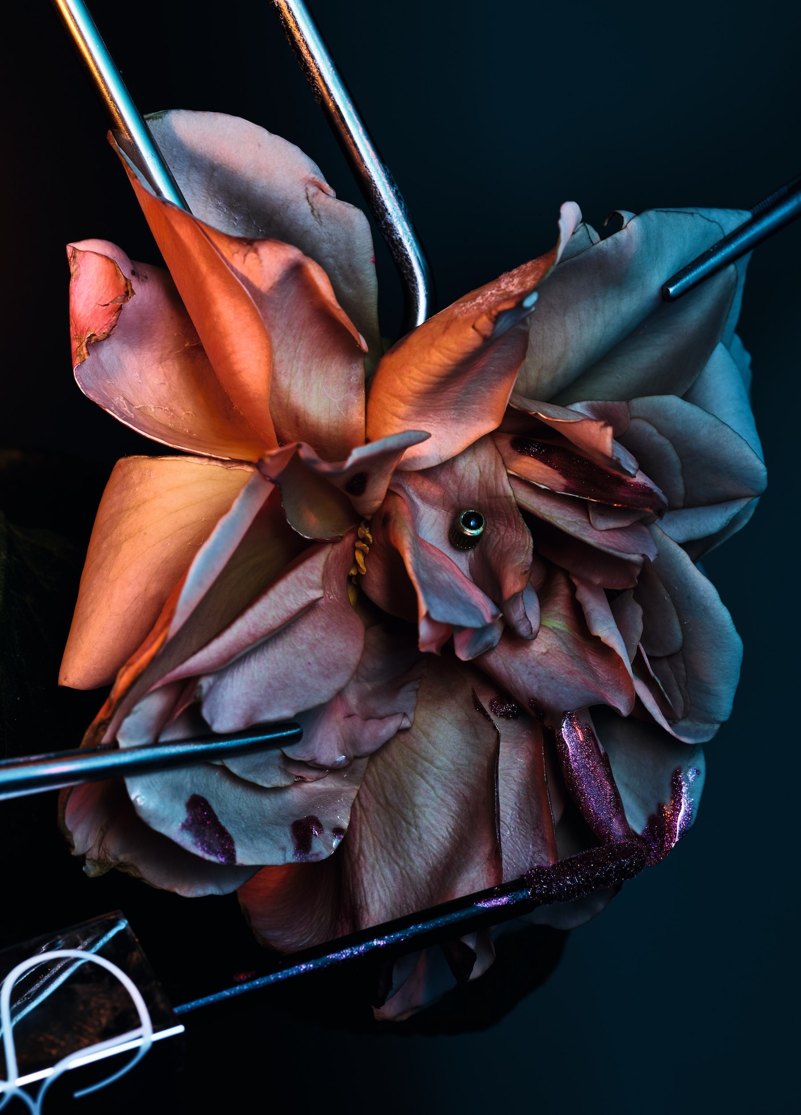DB000_ F14_Florian Joye_01_Web