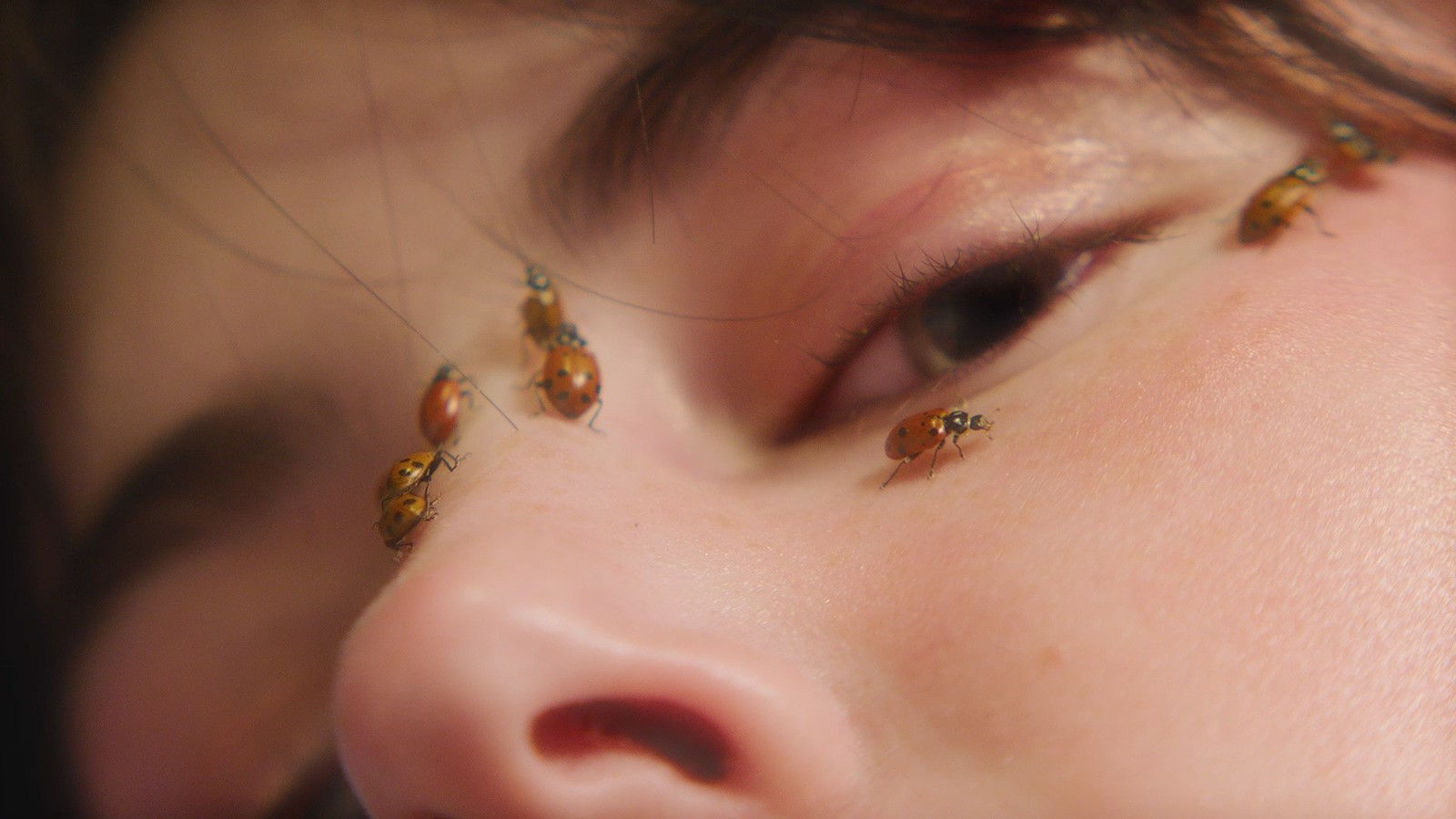 GBY Dazed Beauty