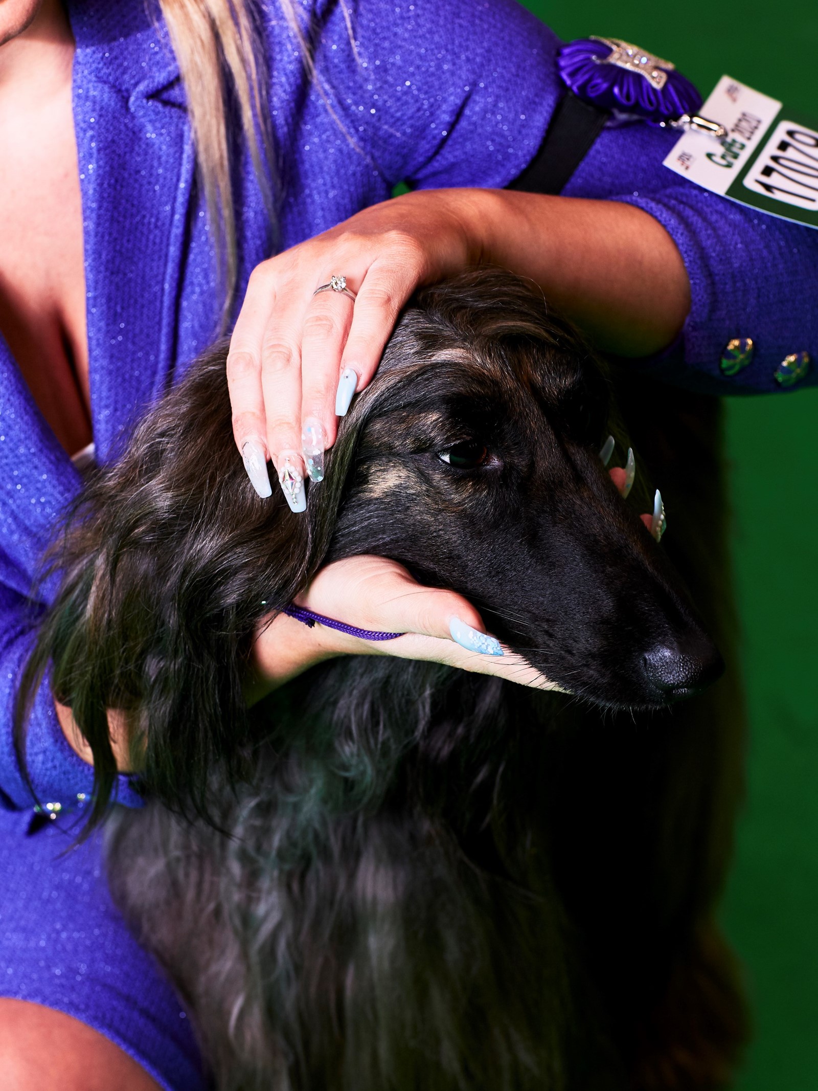 Crufts Dazed Beauty