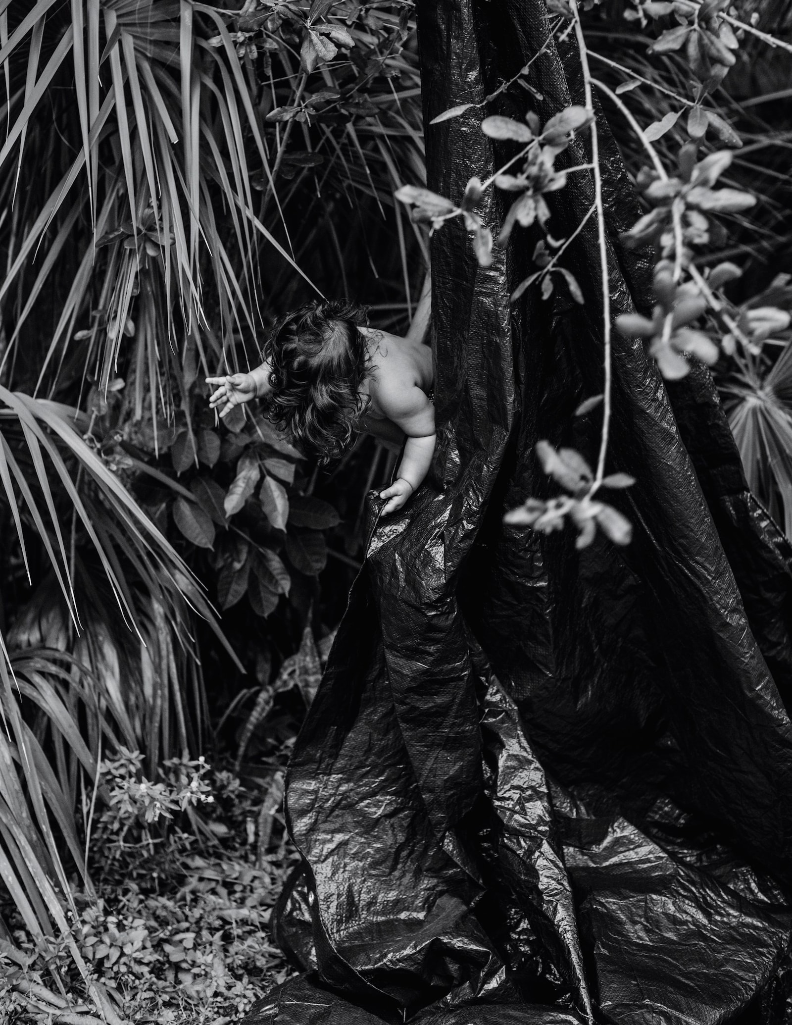 Rose Marie Cromwell CK One