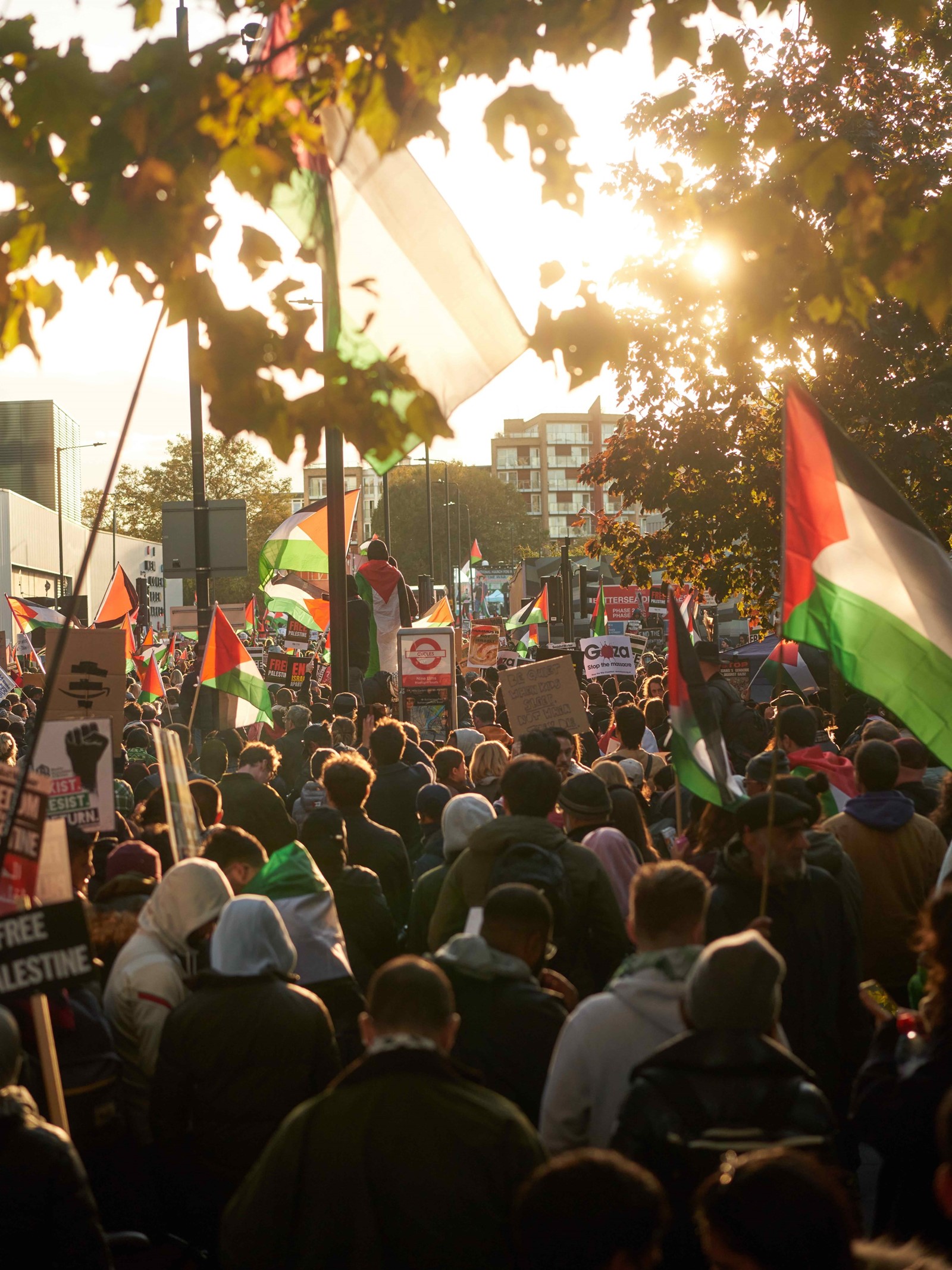 The pro-Palestine in London on 11 November 2023