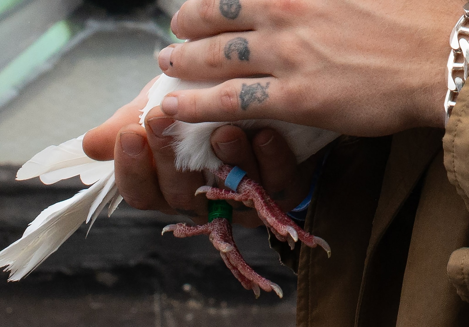 Yung Lean – The Winter Issue 2025