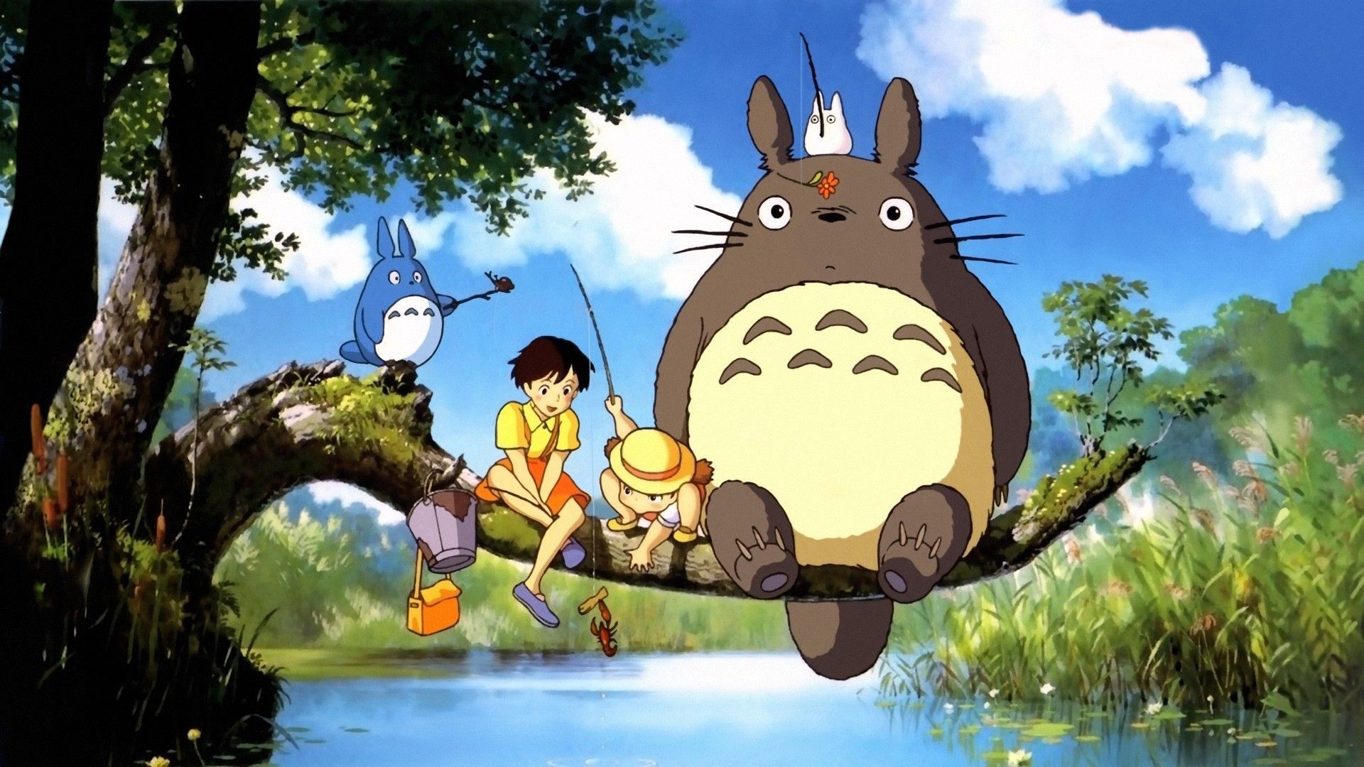 totoro drawn