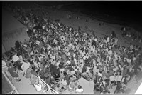 Pigs&#39;Disco.Pics.5 3
