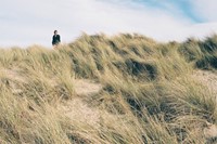 Image 15