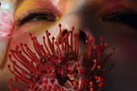 Bj&#246;rk – autumn 2017 2