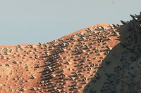 N&#252;wa, the first self-sustainable city on Mars 8 6