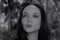 The Addams Family (1964–1966) 1