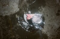 JordanLuca x Herrensauna by Roxy Lee 23