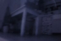 Nika Sandler, My Nonhuman Friends 6