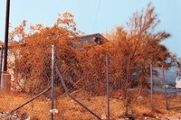 Nick Haymes, The Last Survivor is the First Suspect (2022) 13