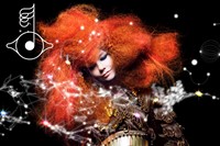 M/M Paris x Bj&#246;rk 13