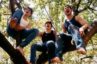 The Lion and the Lamb by Ashley Markle wrestling 24