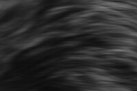 Nika Sandler, My Nonhuman Friends 8