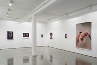 MP-installation view-2013-downstairs 11