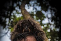 pedro bayeux tribe girl monkey 19