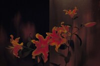 Marcin T. Jozefiak, Fearless Flowers 14