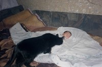 Nika Sandler, My Nonhuman Friends 2