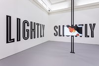 Installation view of Martine Syms: Fact &amp; Trouble 0