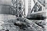 270A_100_FILM_NOIR_CO_43402 2