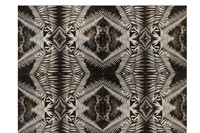 1._Patterns_from_Nature_Photographic_Collage_c._19 0