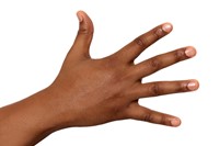 human-hand-front-pic 2