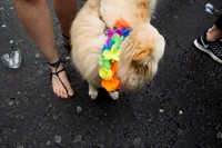 Orlando shooting Soho vigil, photographs by Alice Zoo, Dazed 27