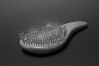 Nika Sandler, My Nonhuman Friends 10