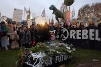 Niklas Halle'n/AFP/Getty Images