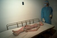 GettyImages-539887178 8