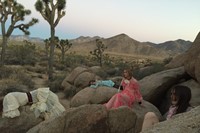 Joshua Tree_Natalie Ziering_15 6